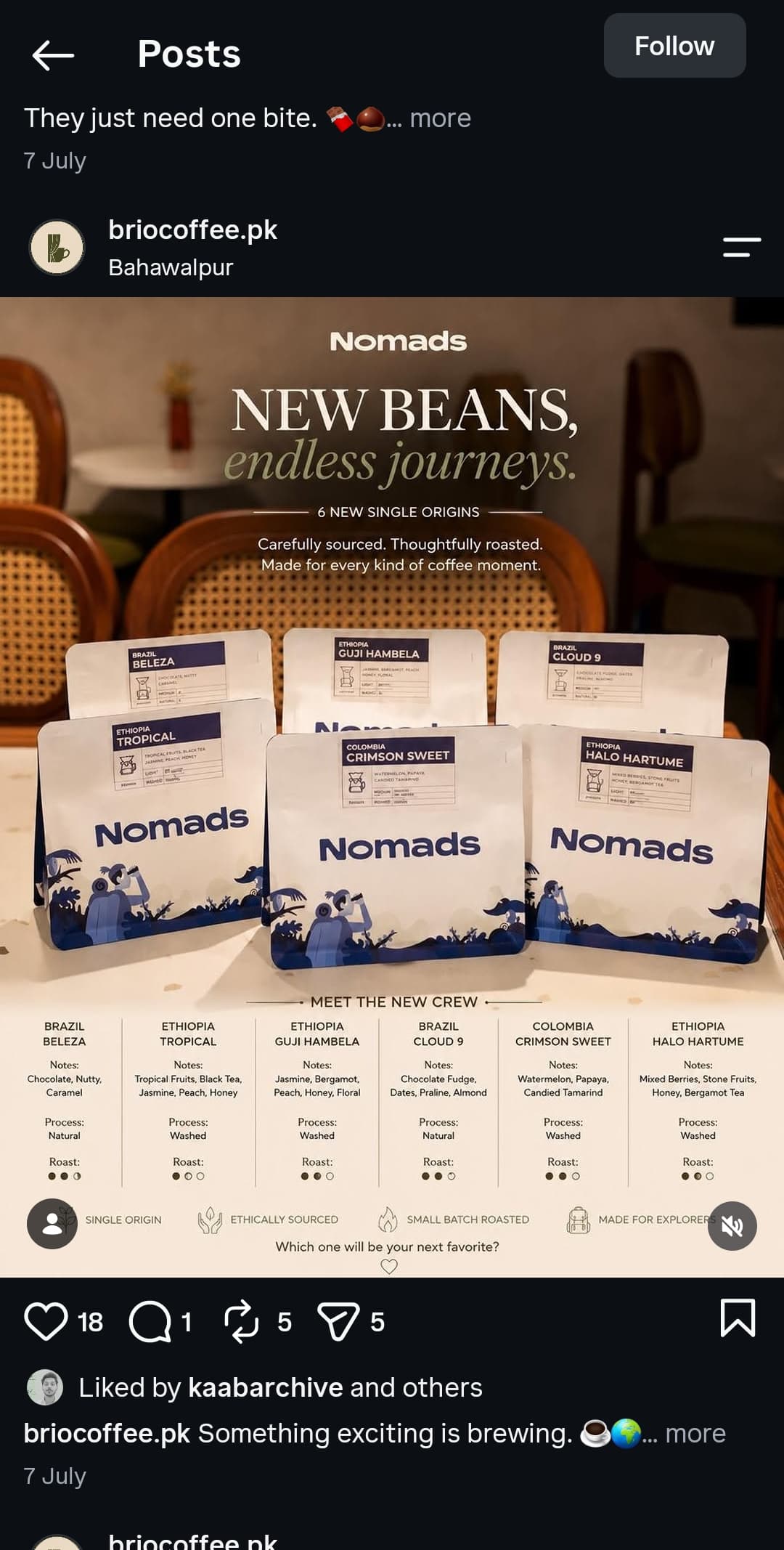 Nomads coffee bean bags by brio